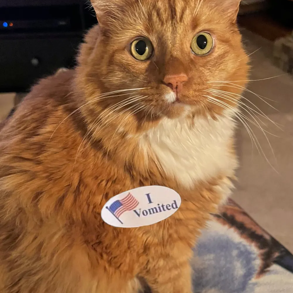 lolalolajoaquin.bsky.social's profile picture