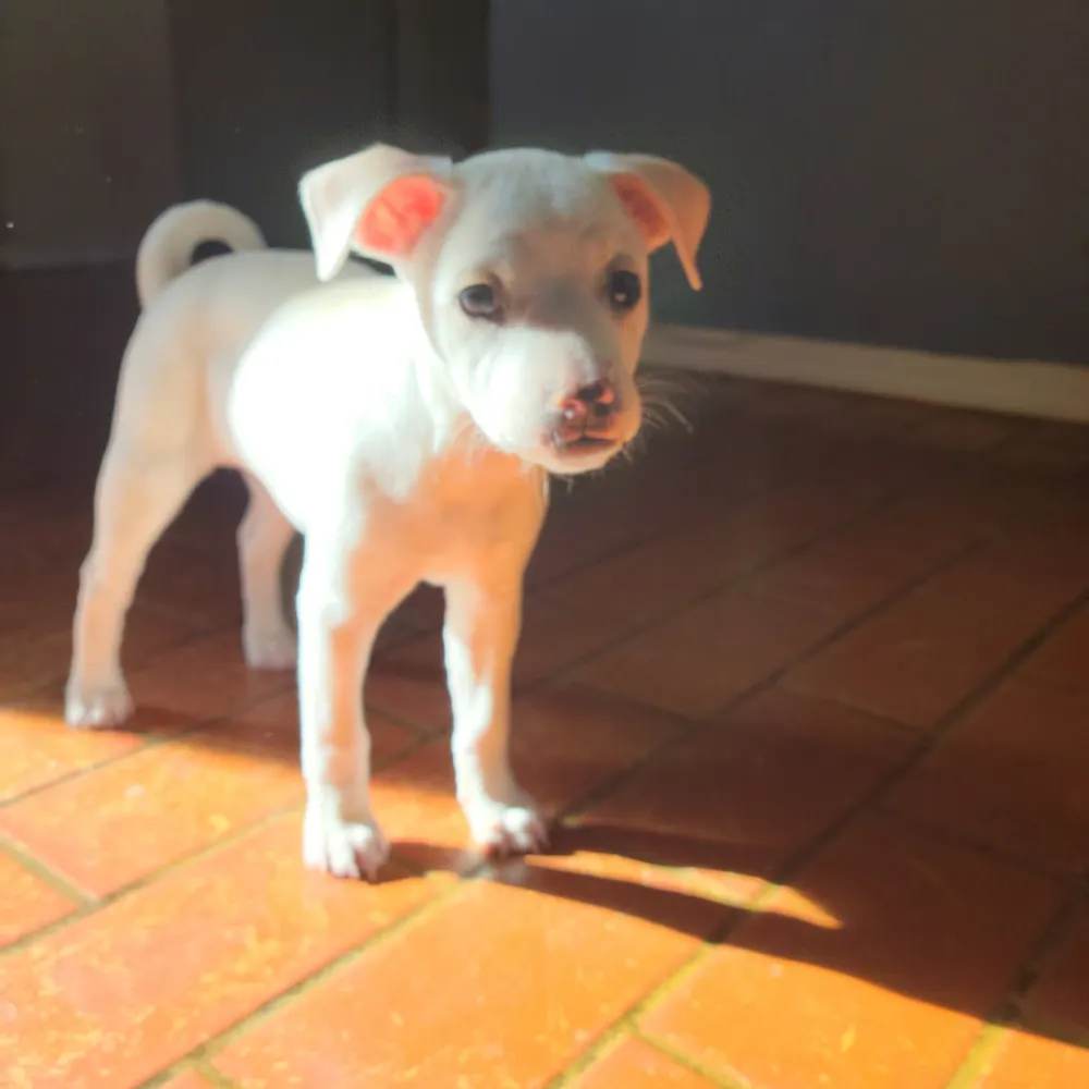 hazenhammel.bsky.social's profile picture