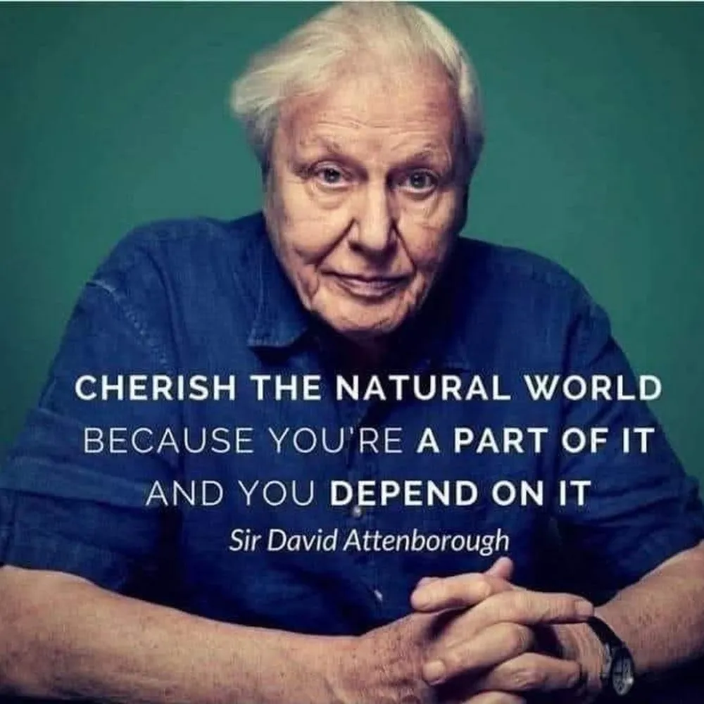 enviroman.bsky.social's profile picture