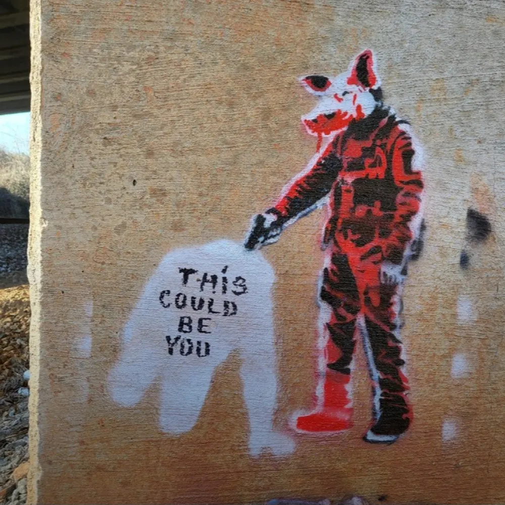 zodle77.bsky.social's profile picture