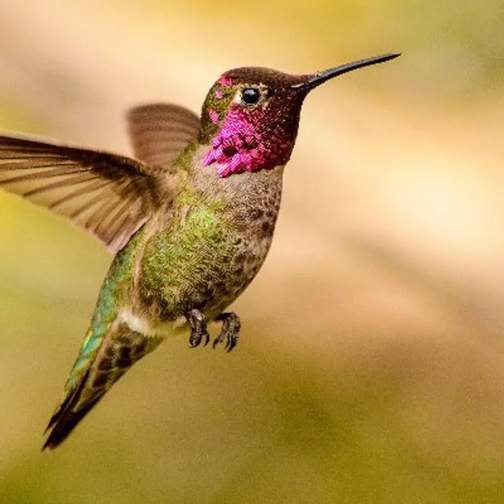 davidjorgonson.bsky.social's profile picture