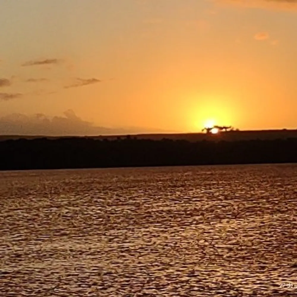 malelo.bsky.social's profile picture