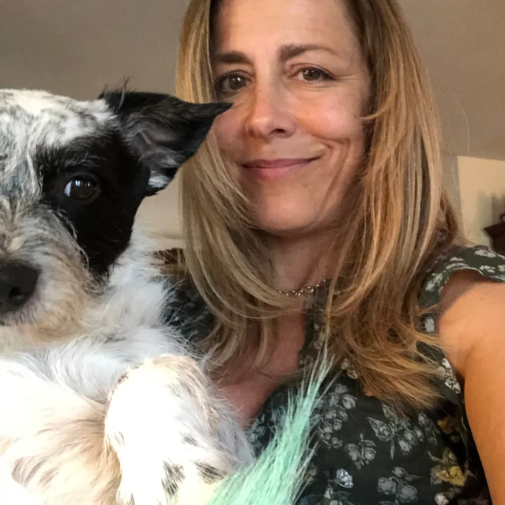 mslowins954.bsky.social's profile picture