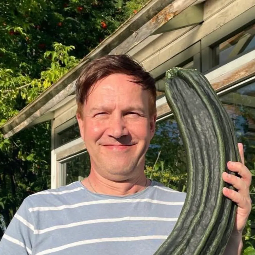 jukkakallijarvi.bsky.social's profile picture