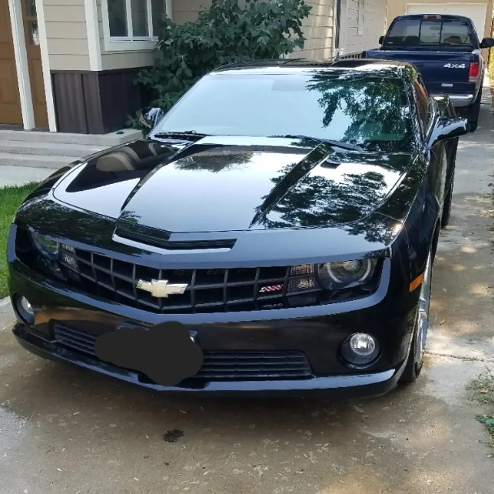 levi-holmes.bsky.social's profile picture