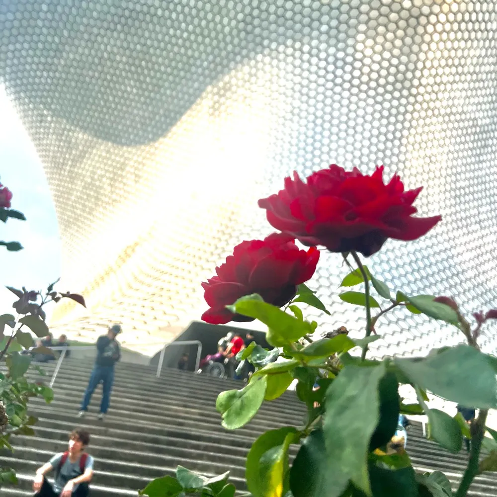 rhall0130.bsky.social's profile picture