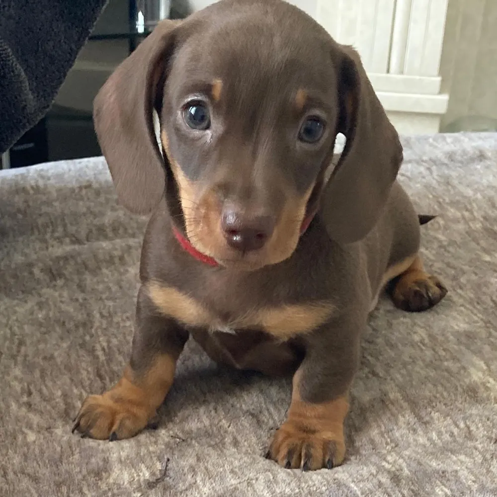 jamesh1977.bsky.social's profile picture