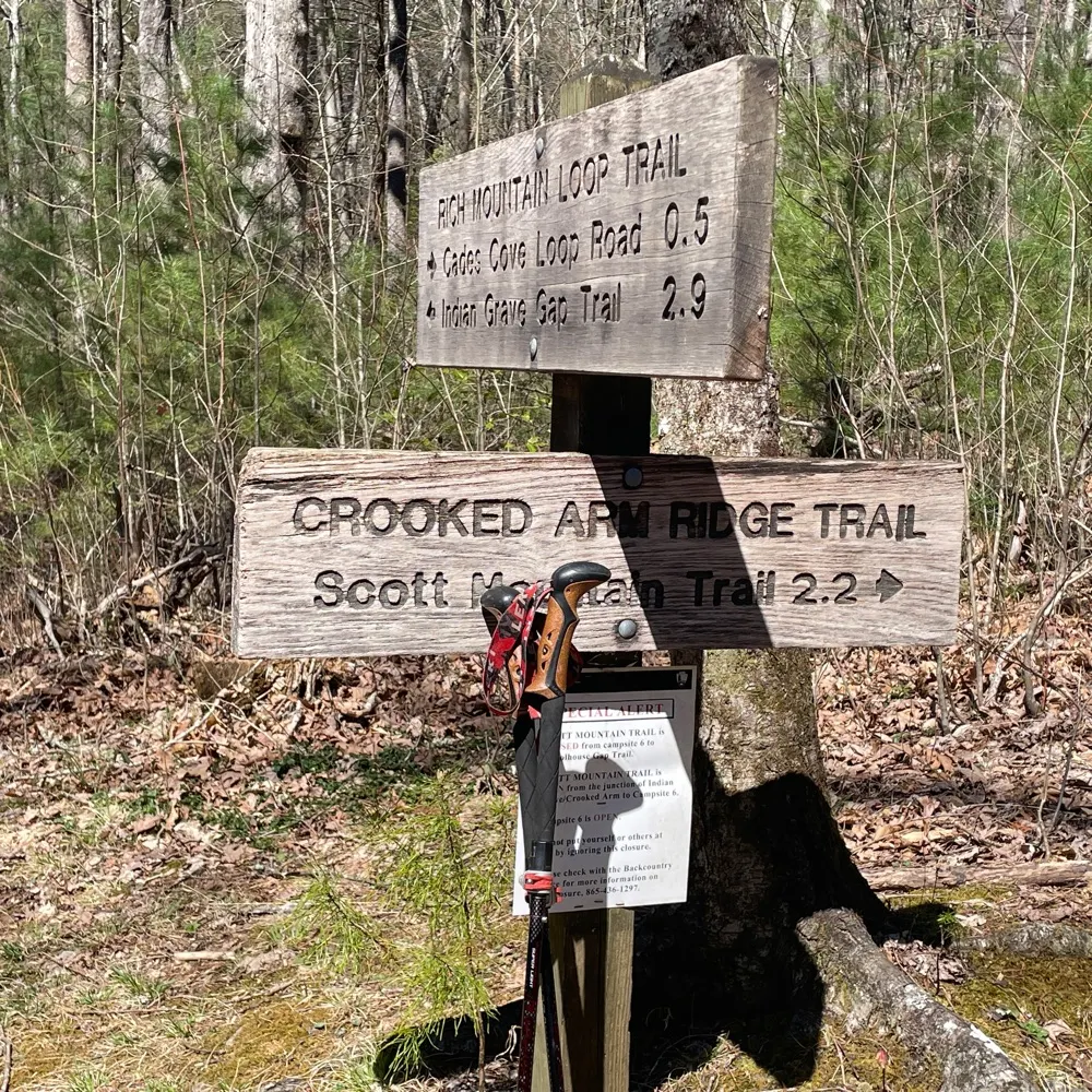 search1wy.bsky.social's profile picture