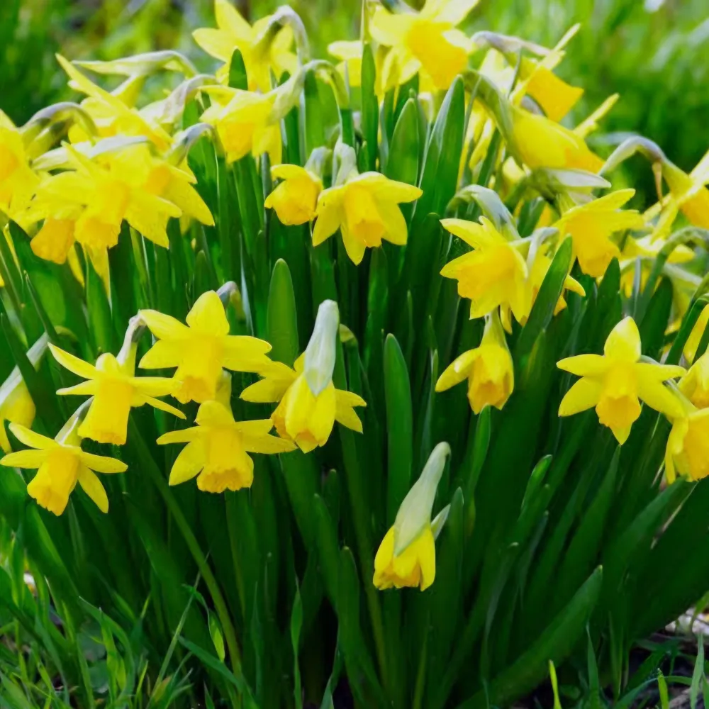 tytytytyty05.bsky.social's profile picture