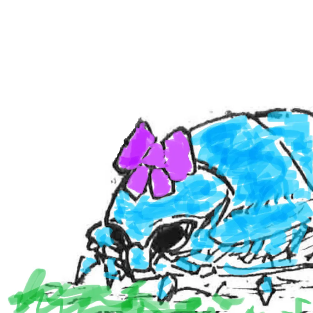 isobel.top's profile picture