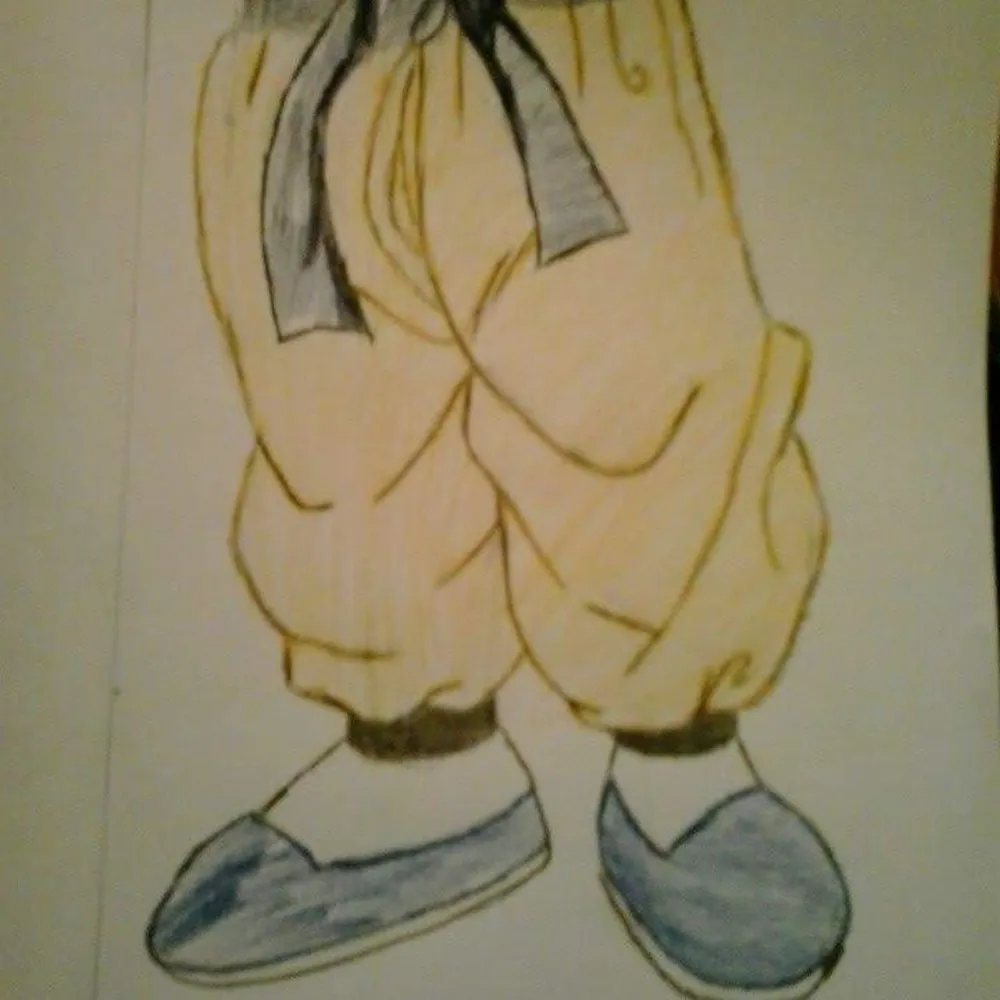 gokupants.bsky.social's profile picture