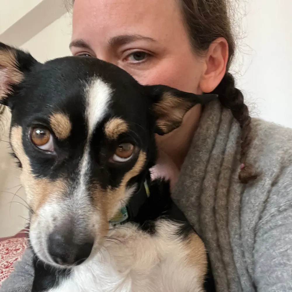 eastsidegadfly.bsky.social's profile picture