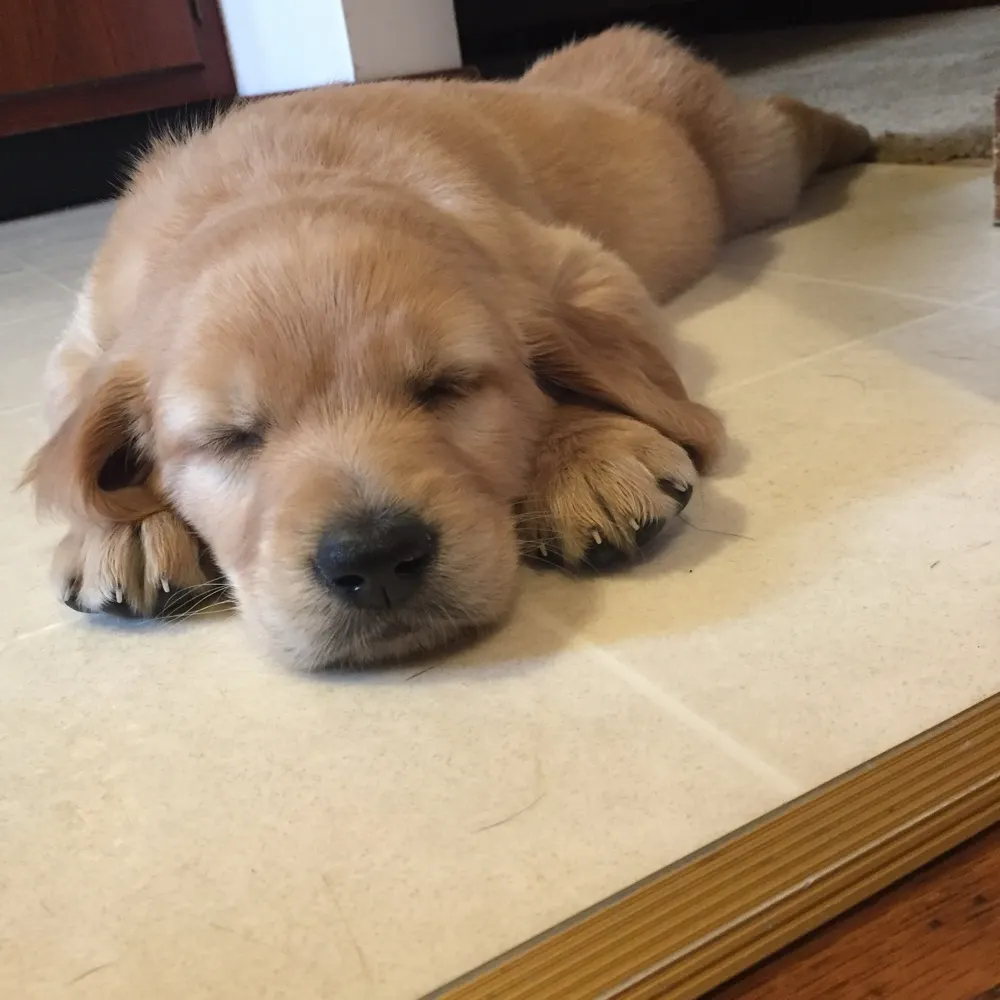 cryan715.bsky.social's profile picture