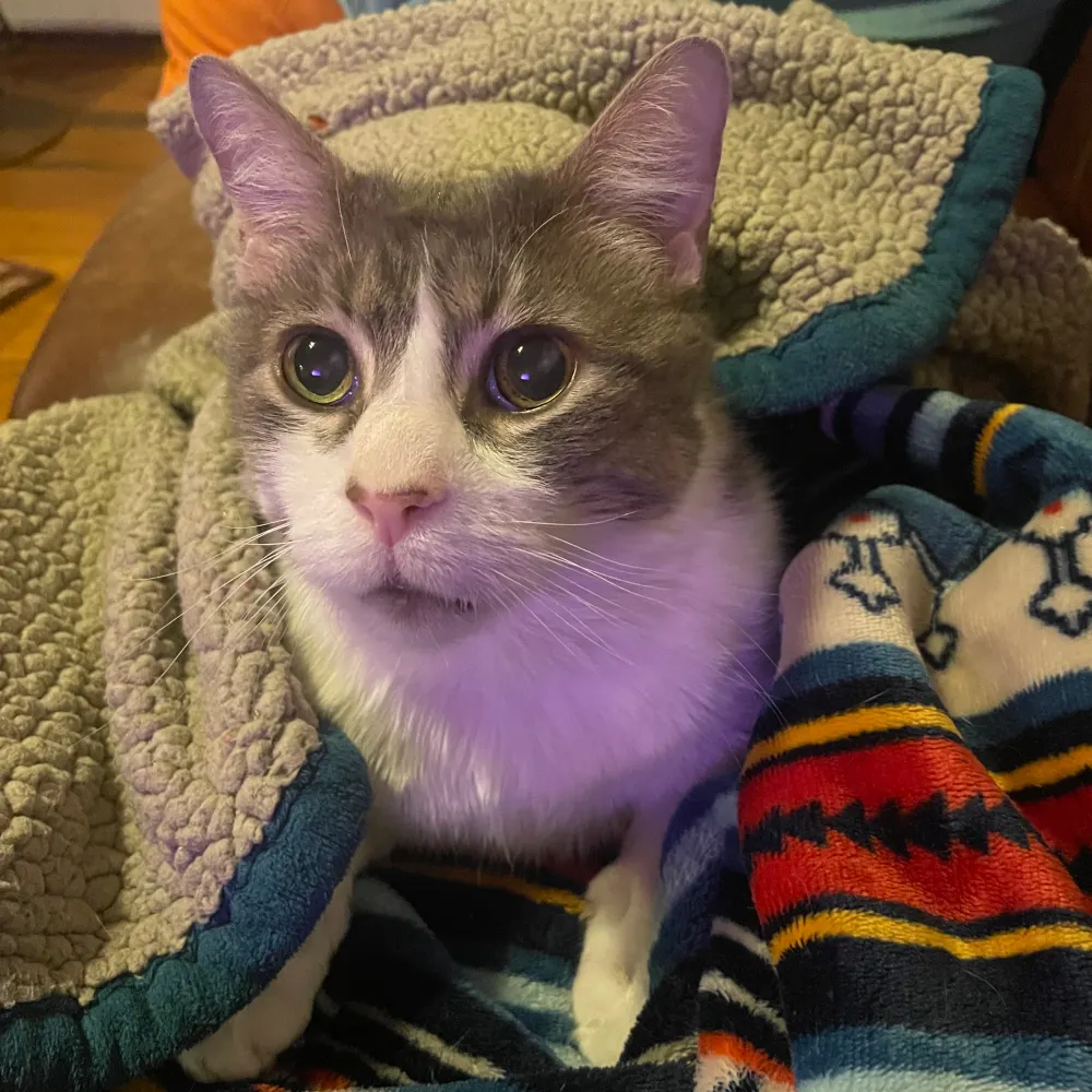 jcc333.bsky.social's profile picture