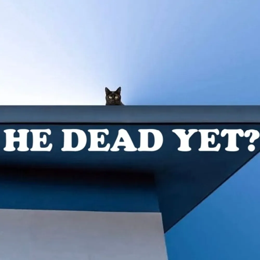 philipmartin77.bsky.social's profile picture