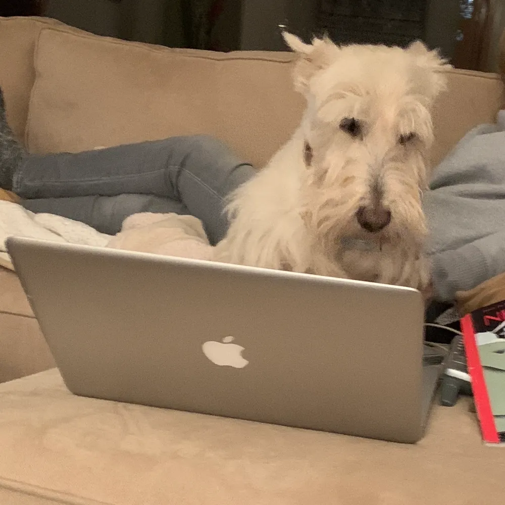 dinerlee.bsky.social's profile picture