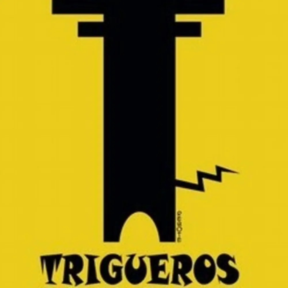 pepo42.eurosky.social's profile picture