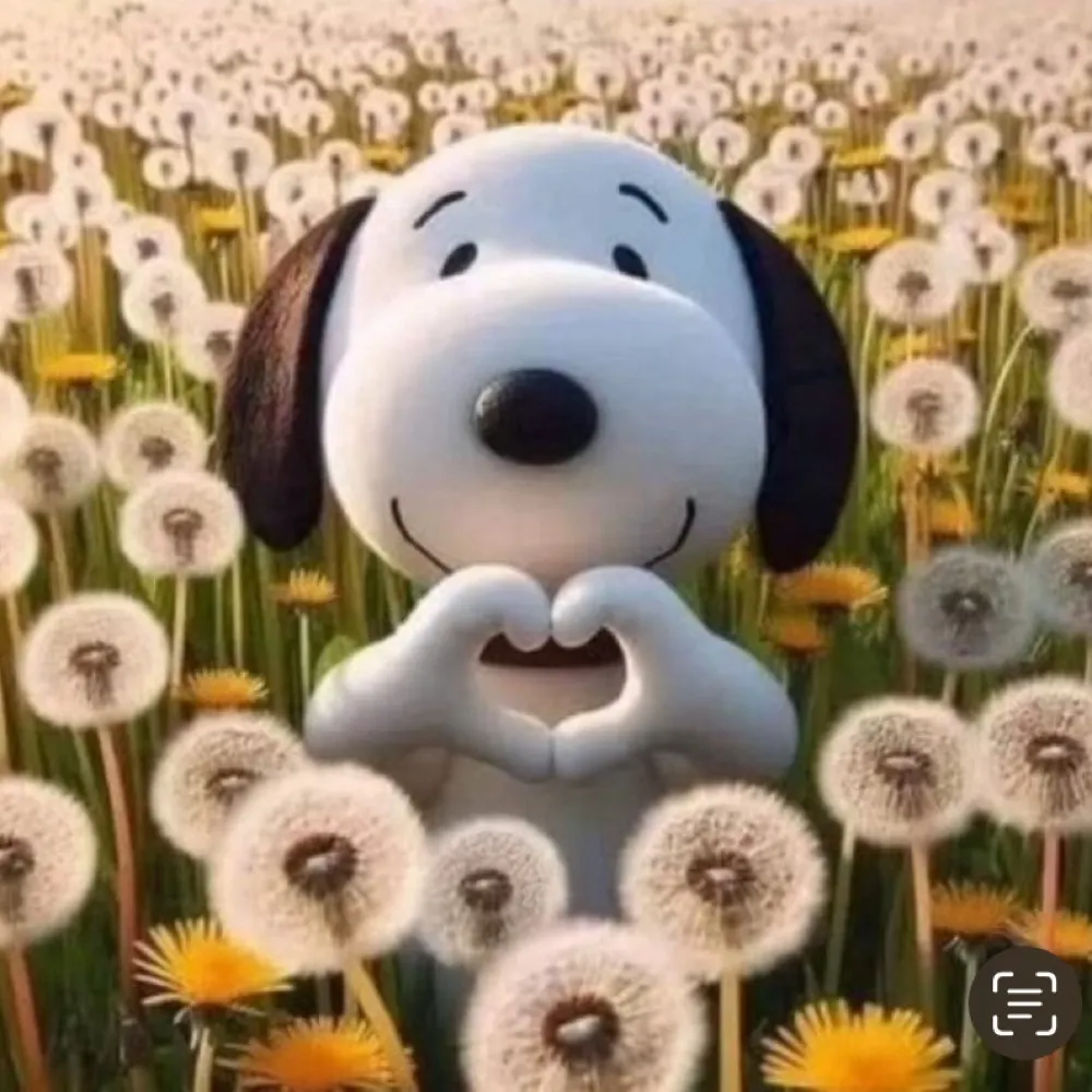 meribel123.bsky.social's profile picture