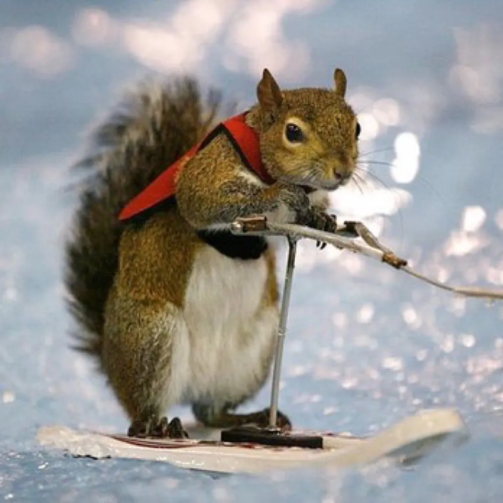 jeffehobbs.bsky.social's profile picture