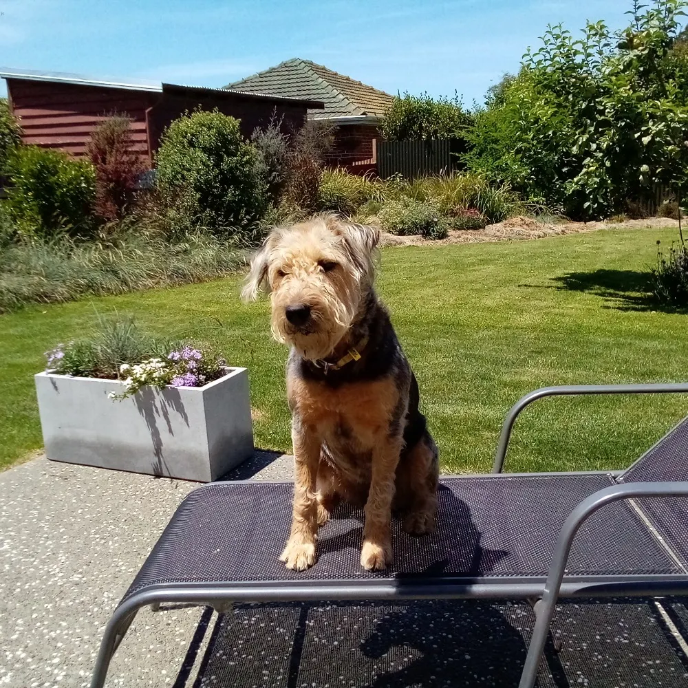 karenonbike.bsky.social's profile picture