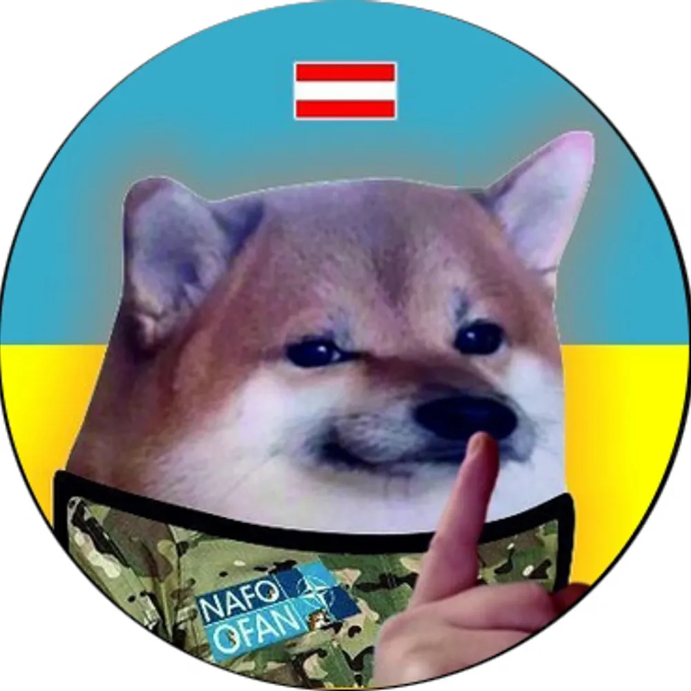 drhalo.bsky.social's profile picture