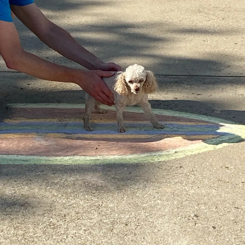 geeel91.bsky.social's profile picture