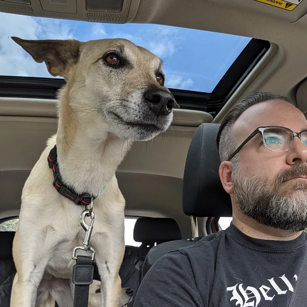 ryanl.bsky.social's profile picture