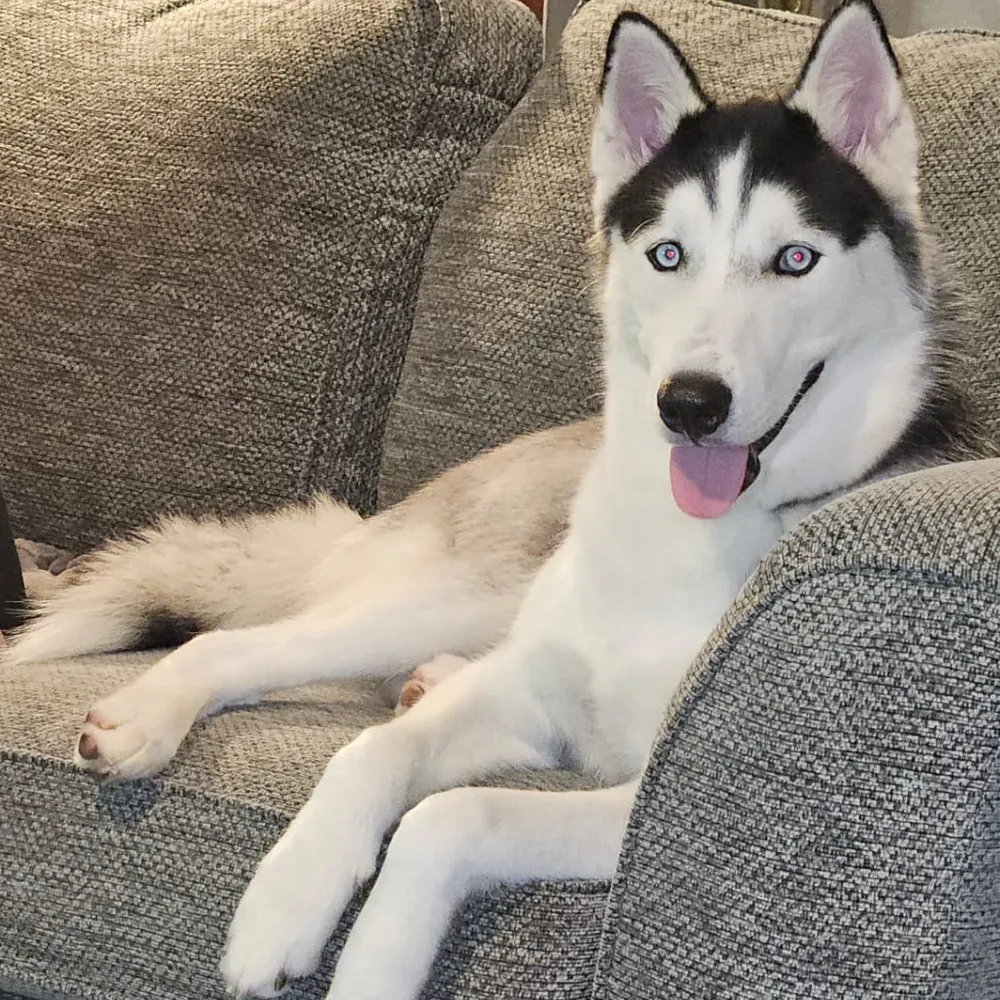 retiredgamer.bsky.social's profile picture