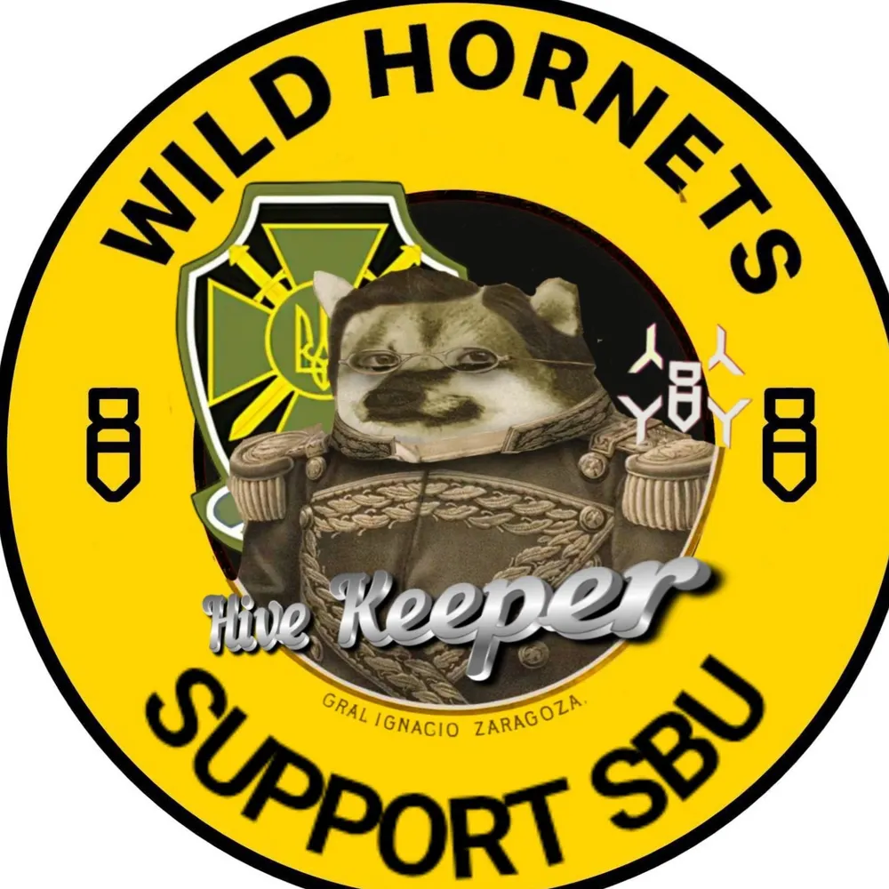 kysakunatsume.bsky.social's profile picture