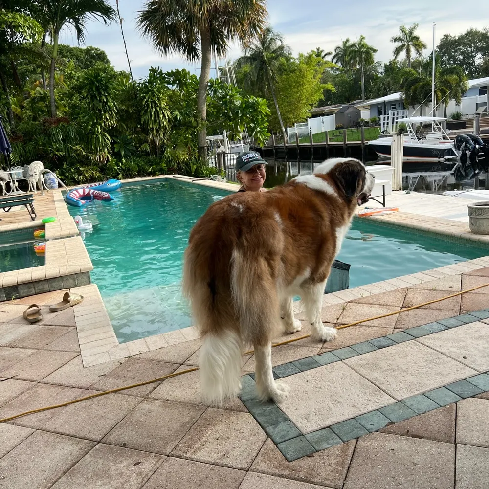 londonreed.bsky.social's profile picture