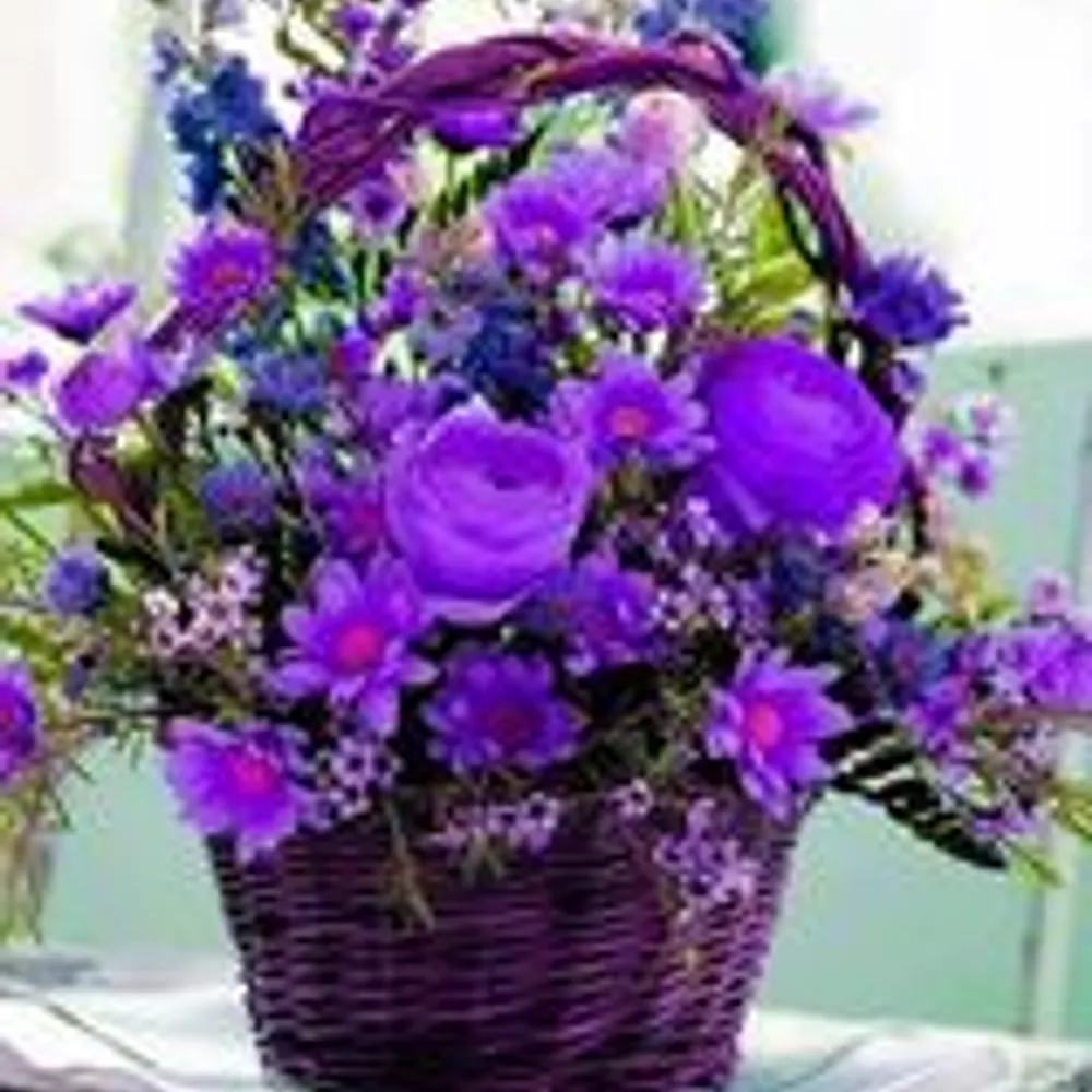 gracepeace.bsky.social's profile picture