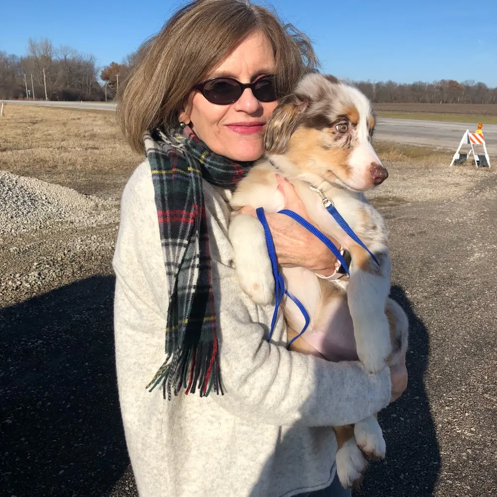 kccab.bsky.social's profile picture