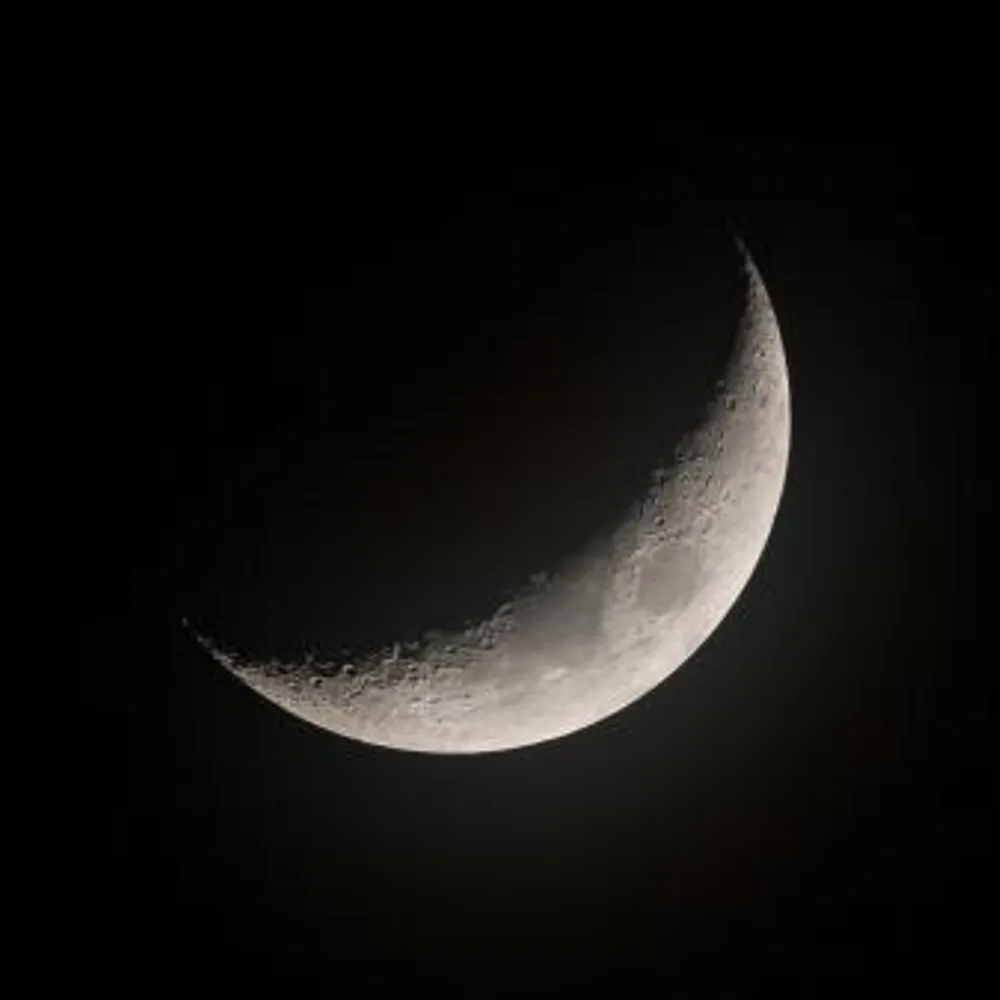 waynekennethtaylor.bsky.social's profile picture