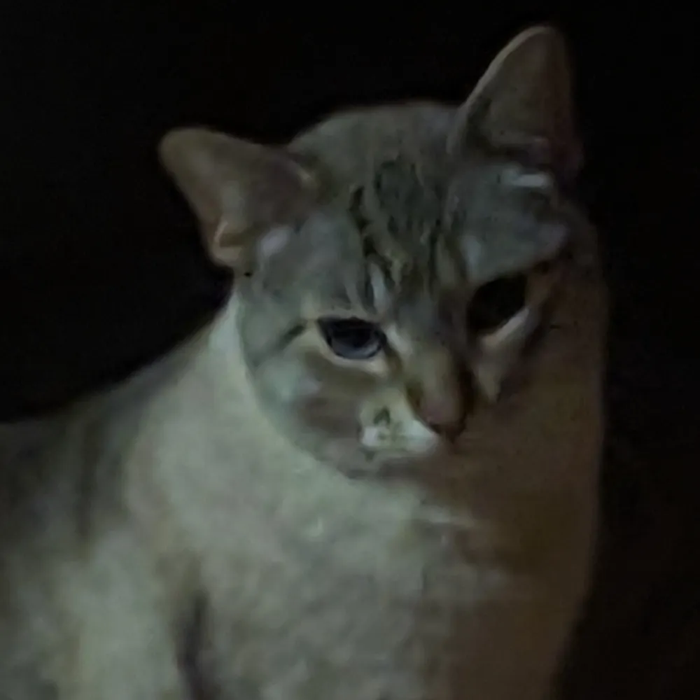 patrick6669.bsky.social's profile picture