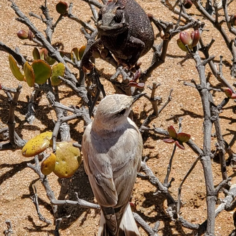 ethicsshouldmatter.bsky.social's profile picture