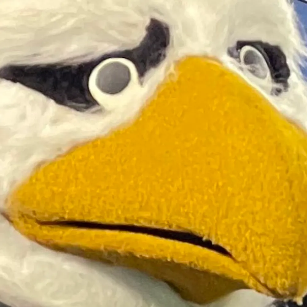 hughdelendaest.bsky.social's profile picture