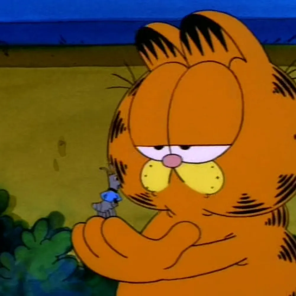 mullhund.bsky.social's profile picture