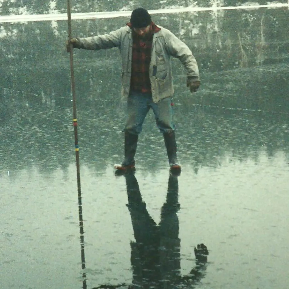 dendrast.bsky.social's profile picture