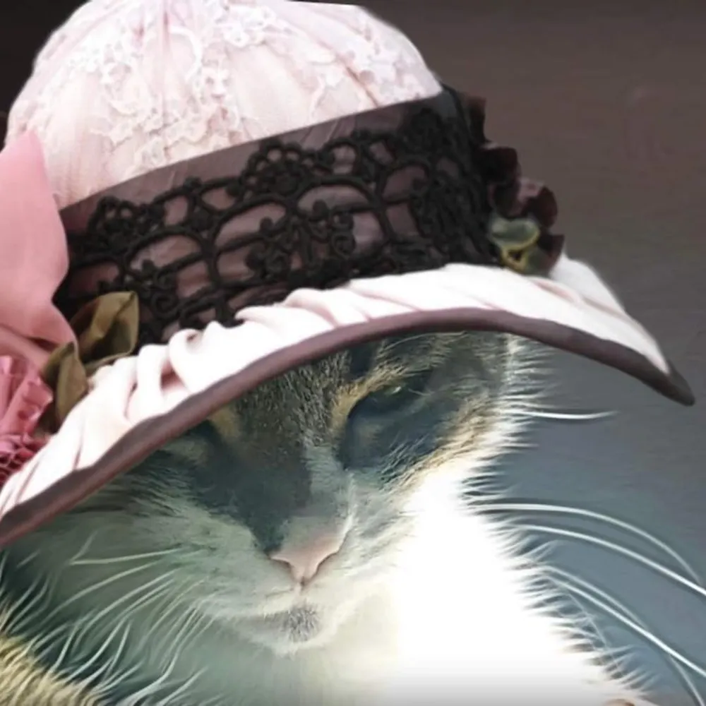 sqpegs.bsky.social's profile picture