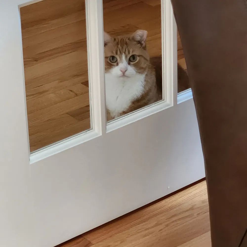 ladycross.bsky.social's profile picture