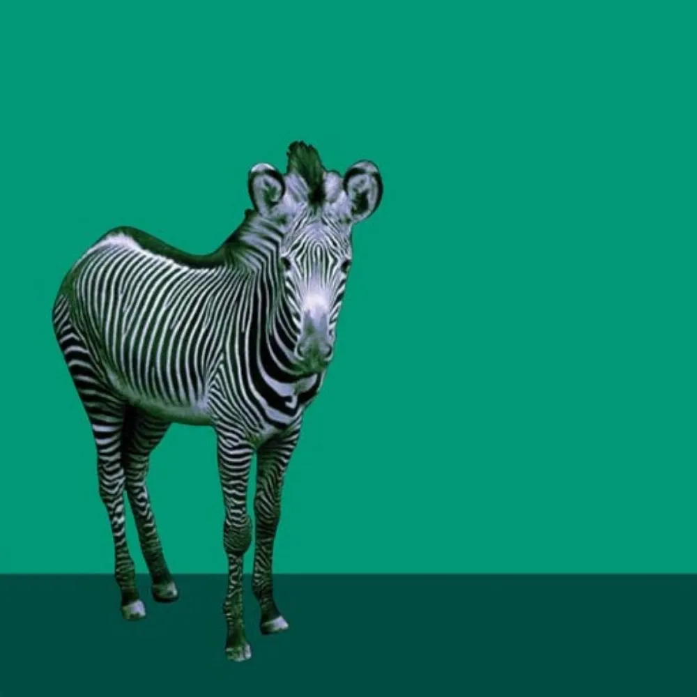 robvo.bsky.social's profile picture