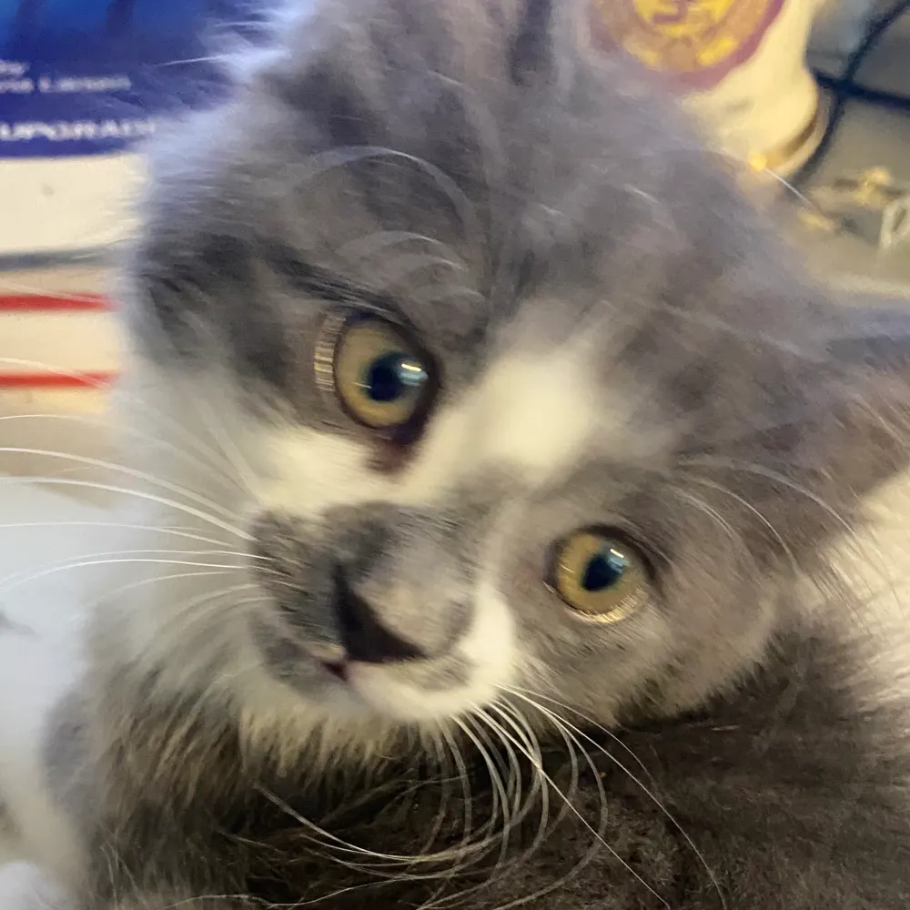 the-code-to-hell.bsky.social's profile picture