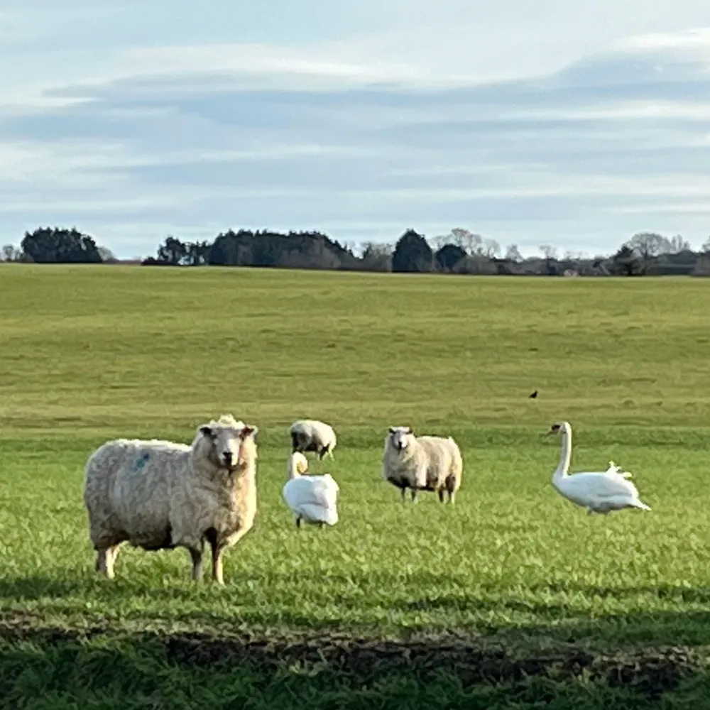 matthewbradford.bsky.social's profile picture