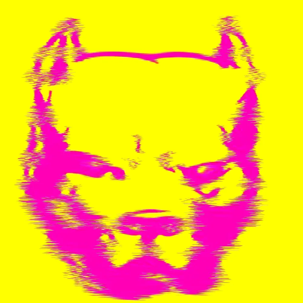 ocaodanado.bsky.social's profile picture