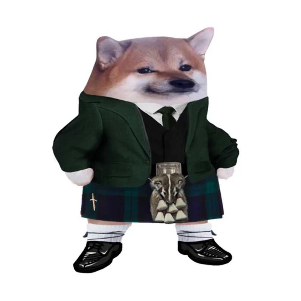 fellaneil.bsky.social's profile picture