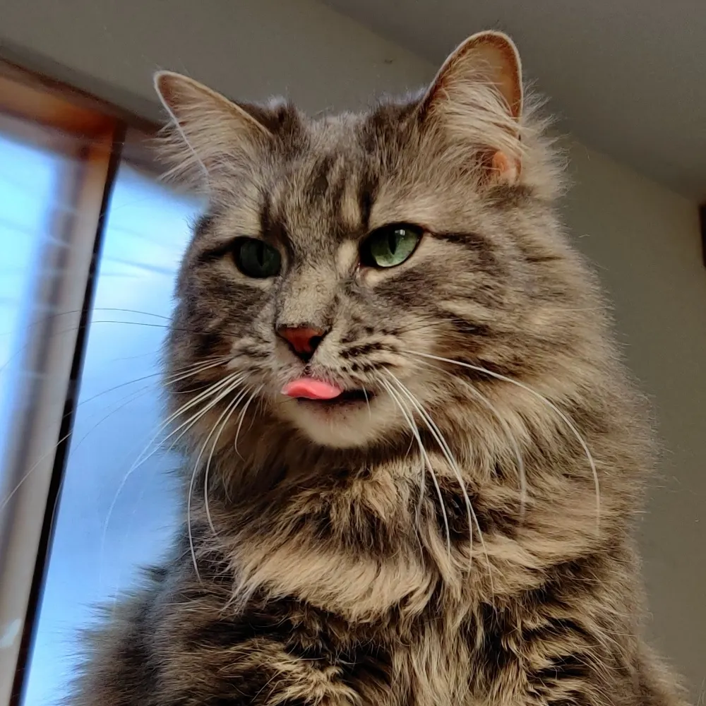 couchpilot99.bsky.social's profile picture