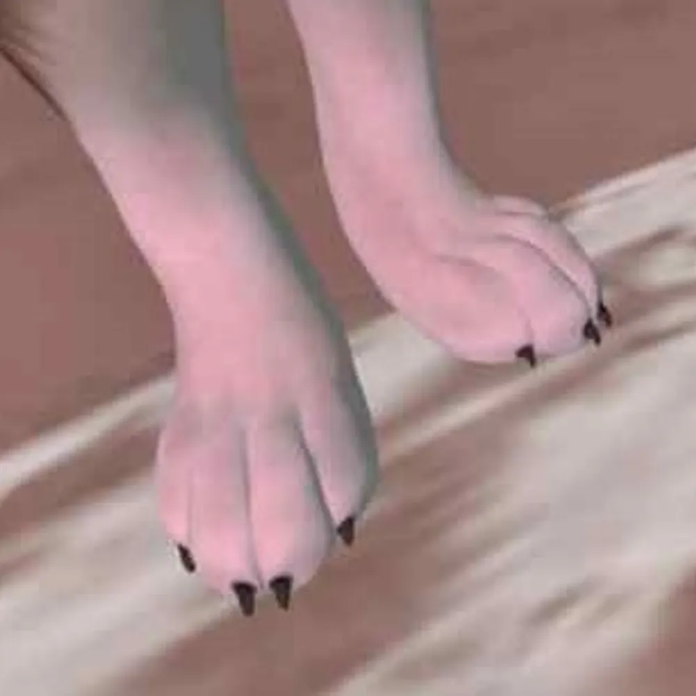 rachael-sparks.bsky.social's profile picture