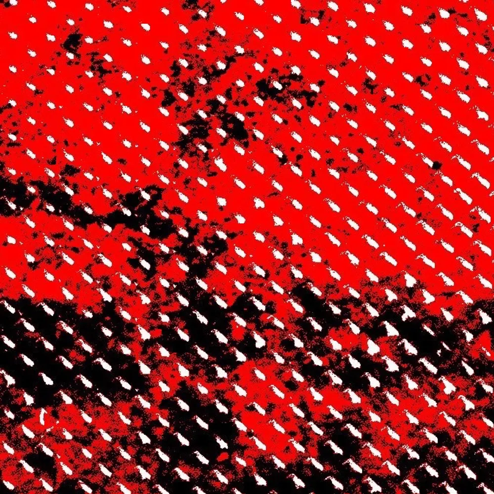 coteof.bsky.social's profile picture