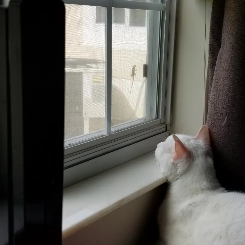 robroser.bsky.social's profile picture