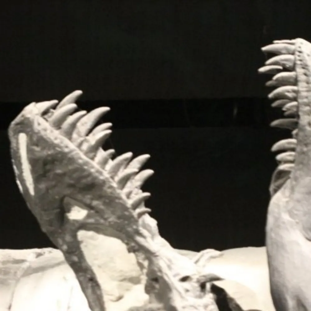 mummers.bsky.social's profile picture